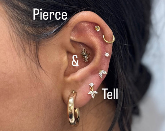 ear piercing stack by pierce & Tell